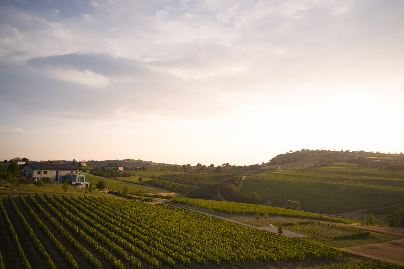 Radici | Ristorante Mura Mura